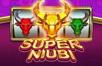 Slot Super Niubi