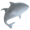 icon fish